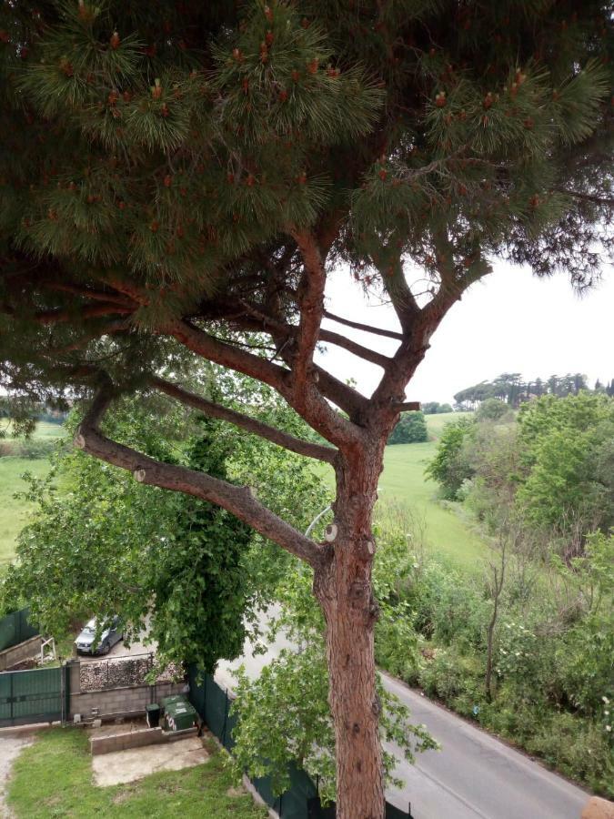 Gasthof Casa Da Anna